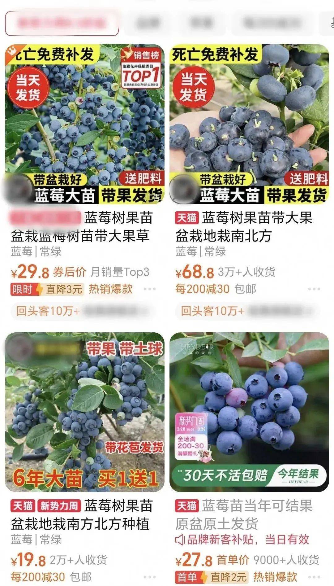 “网红水果”大降价啦(图2)