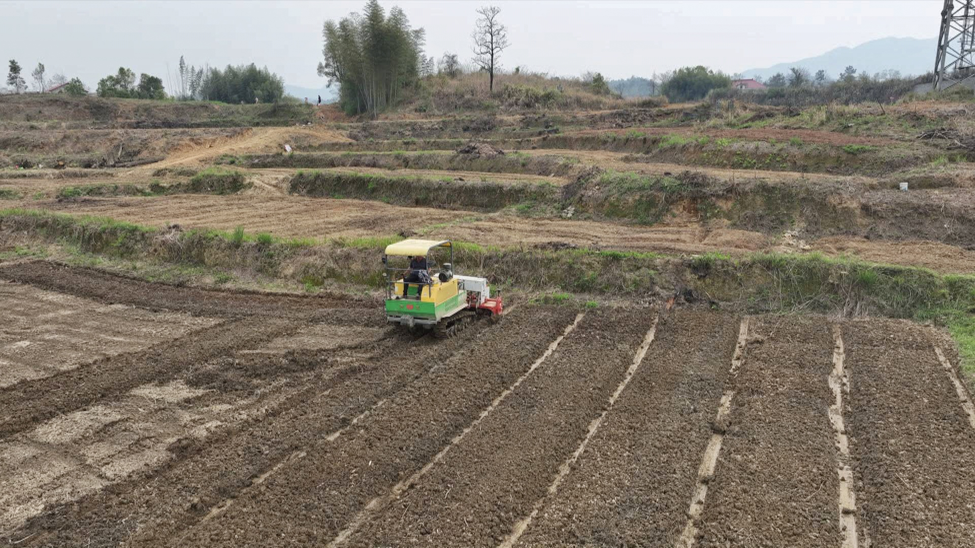 ope体育下载湖南新邵大豆玉米带状复合种植助农“一地双收”(图2)
