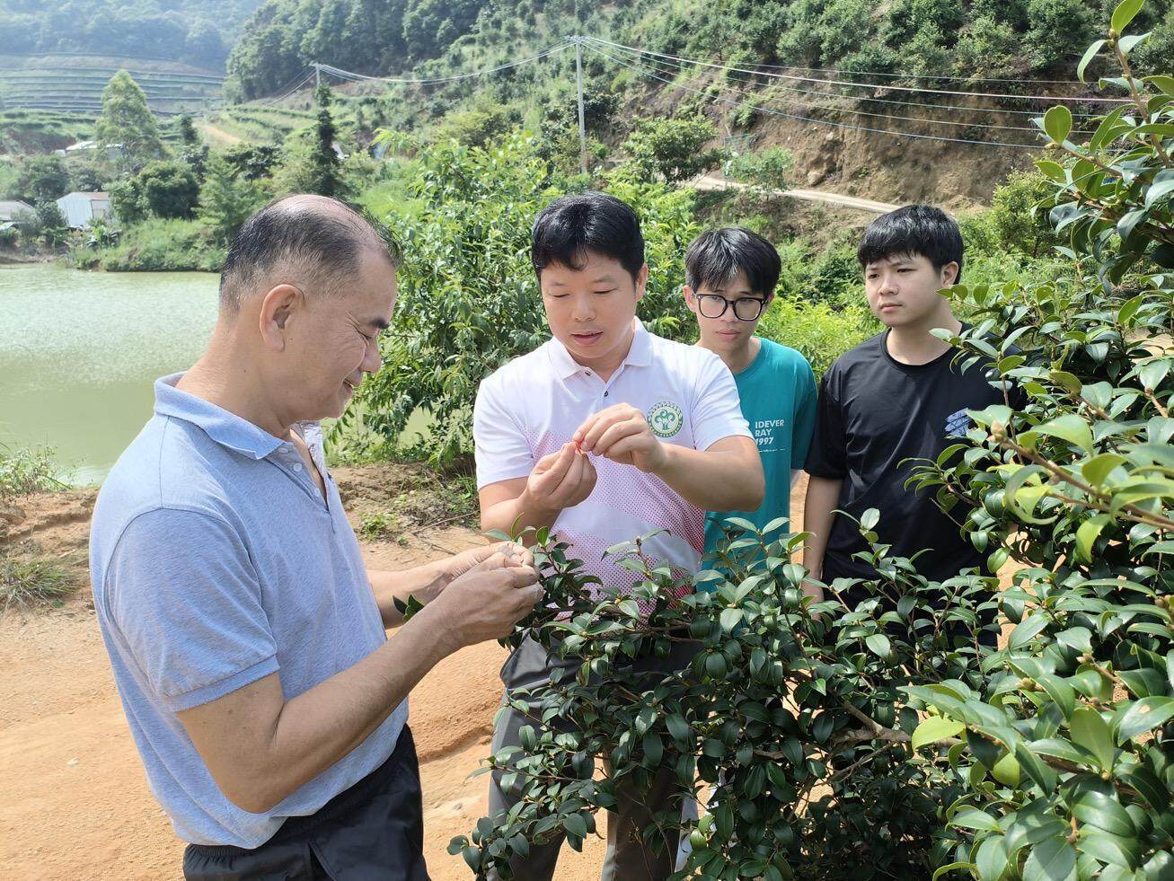 广东以科技服务助力油茶种植高质量发展(图3)