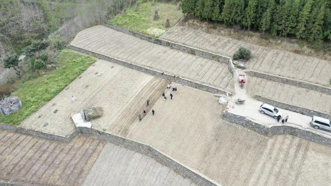 北川魔芋种植突破7万亩 全产业链条焕发新活力(图1)
