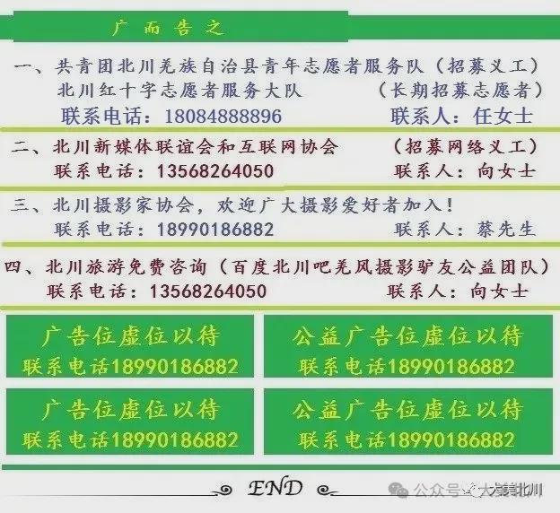 北川魔芋种植突破7万亩 全产业链条焕发新活力(图7)