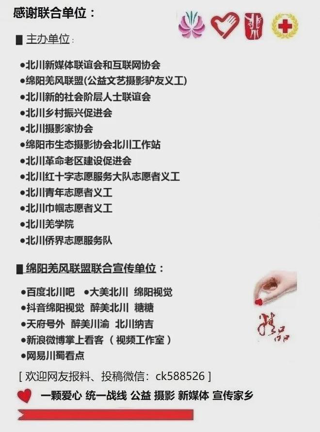 北川魔芋种植突破7万亩 全产业链条焕发新活力(图6)