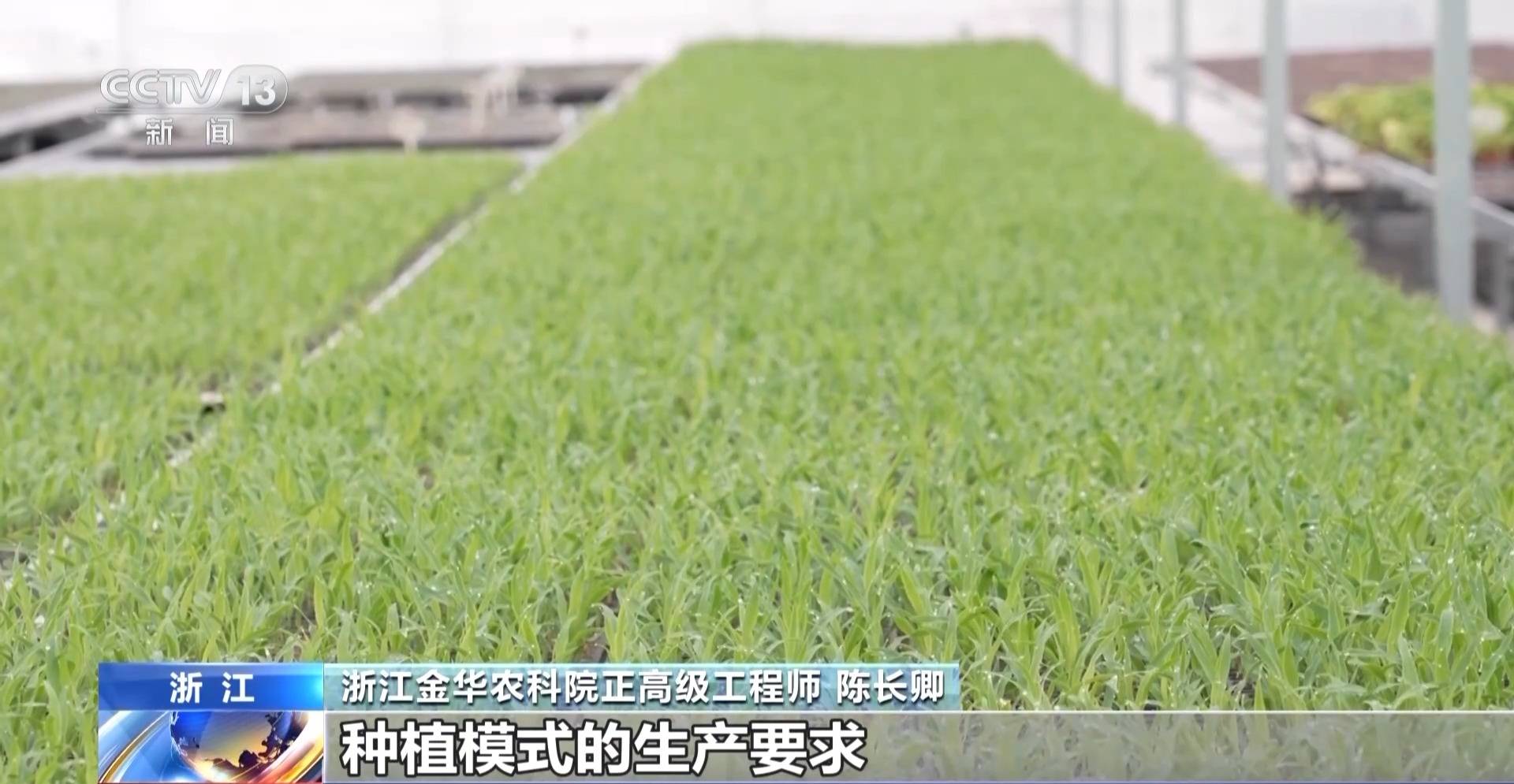 一线调研丨 农机“出海”忙 看春耕里的“全球生意”(图11)