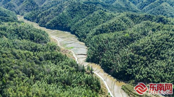 三明泰宁：水田披新绿 茭ope体育平台白种植正当时(图2)