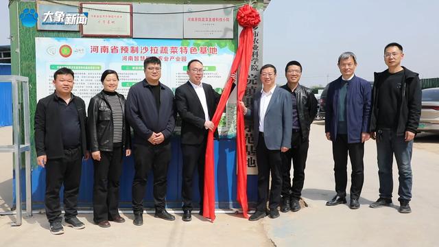 ope体育下载新乡平原示范区：特色种植打造农谷“蔬菜小镇”(图3)