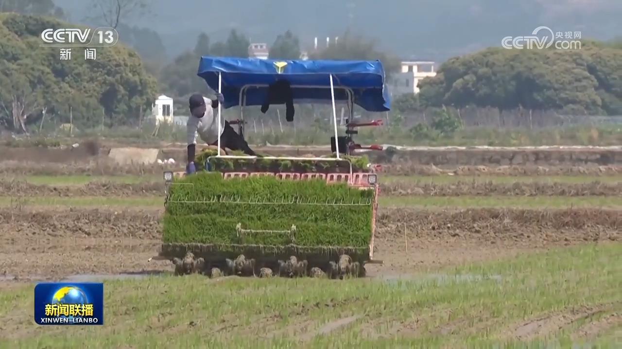 【在希望的田野上】各地抢抓农时有序推进农业生产(图3)