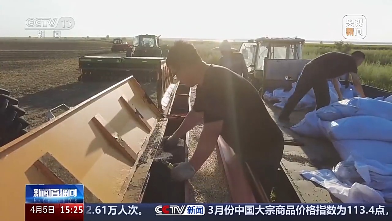 文化中国行丨播种“冰麦”“龙王”巡游智能养蚕 他们这样过清明→(图3)
