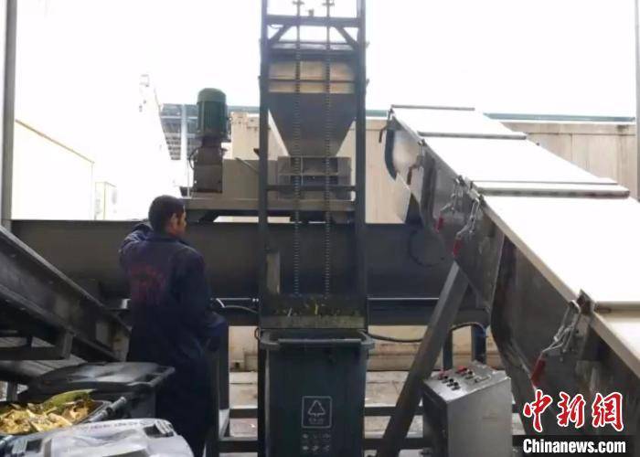 科技助烂水果“变废为宝” 杭州探索“绿色共富”新解法(图1)