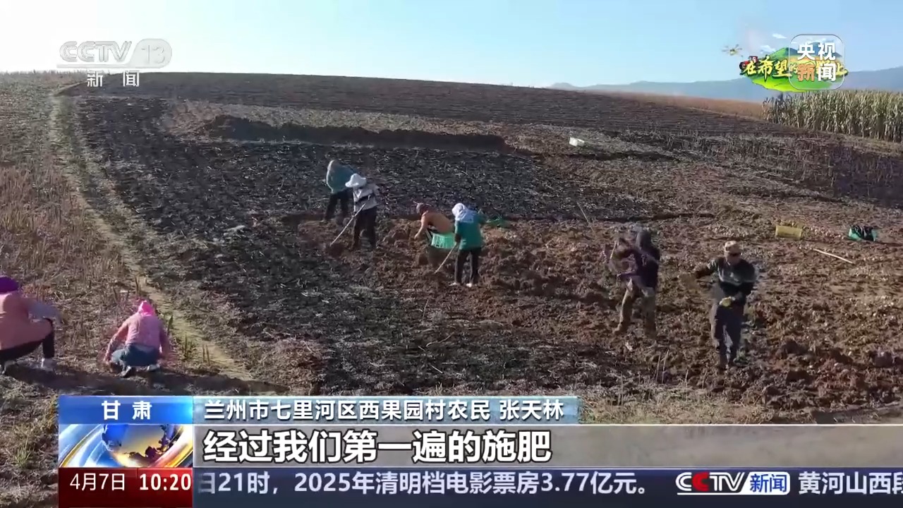 让麦田喝上“聪明水”百合种植新技术……清明时节农事忙(图6)