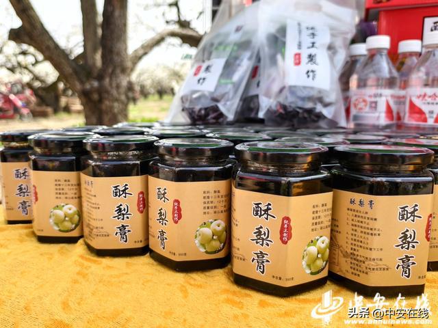 中安宿说：一棵树三世守望(图5)