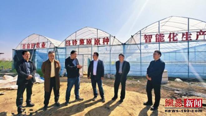 ope体育网址临颍：马铃薯空中培育新技术绽放光彩(图6)
