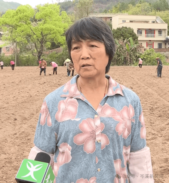 大隆镇→“一粒花生三重奏”(图4)