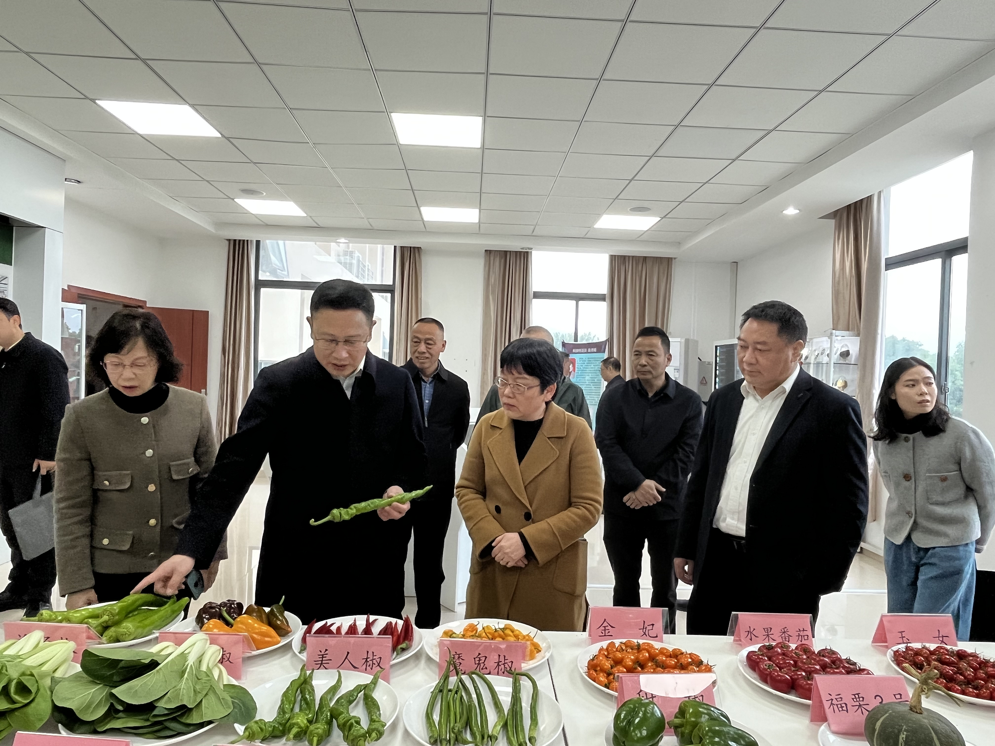 “蔬” 写新篇：福州市蔬菜研究所活动助力双领域发展(图1)
