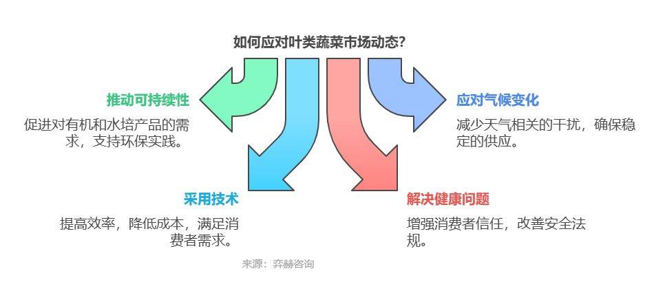 全面分析2025年叶类蔬菜市场(图3)