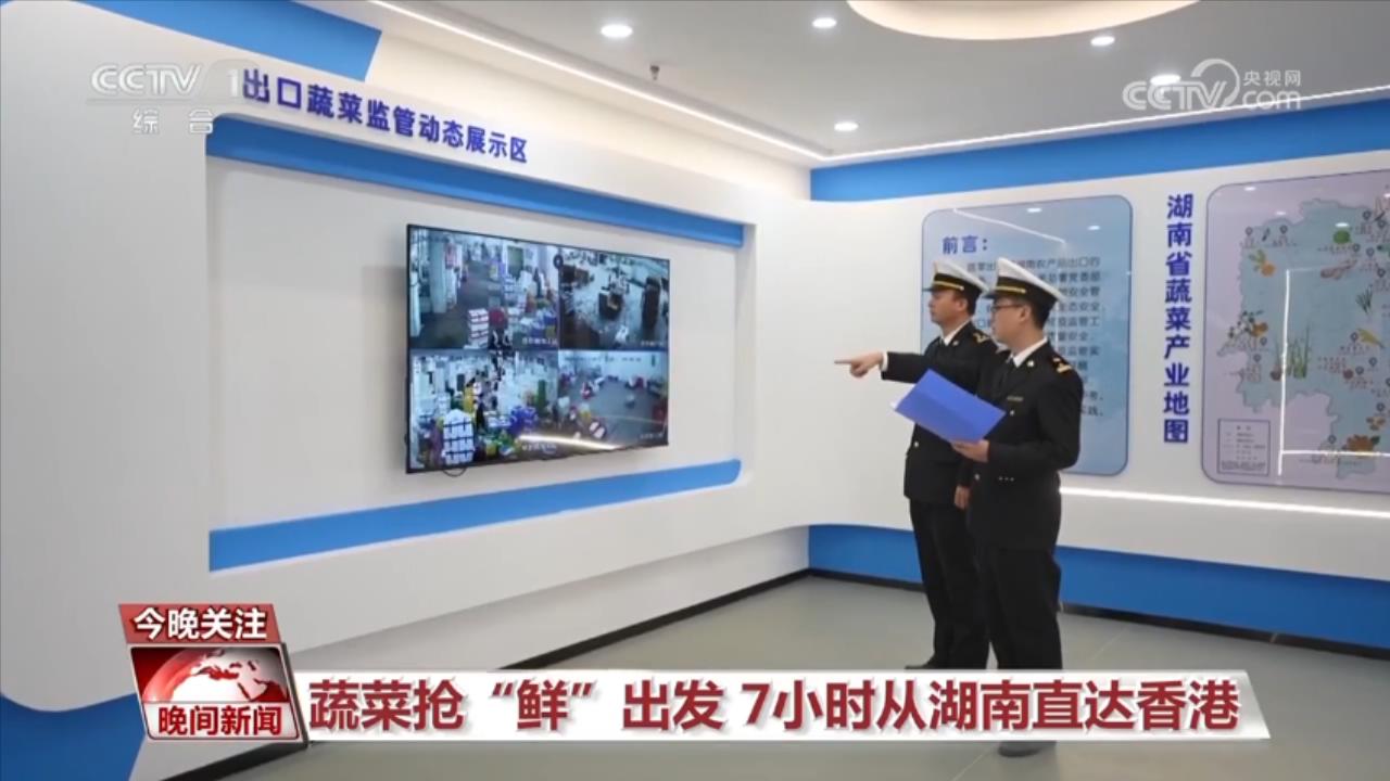 万象“耕”新进行时 蔬菜抢“鲜”7小时从湖南直达香港(图2)