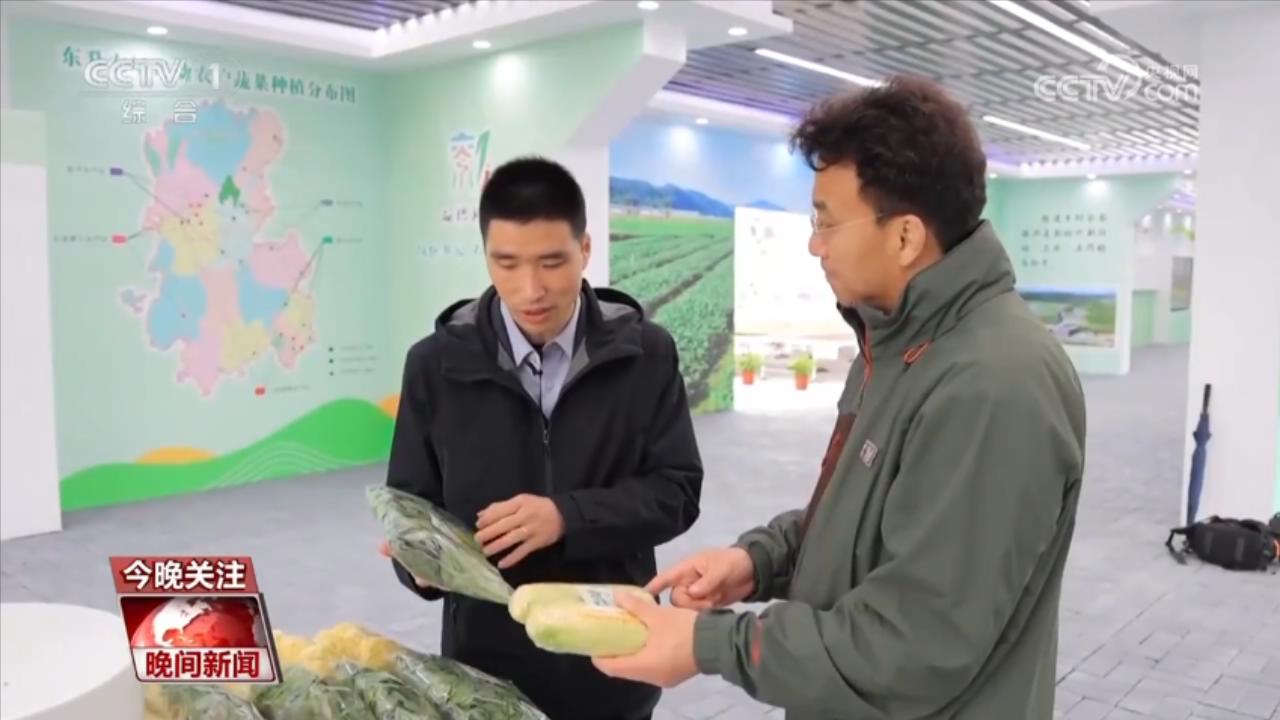 万象“耕”新进行时 蔬菜抢“鲜”7小时从湖南直达香港(图4)