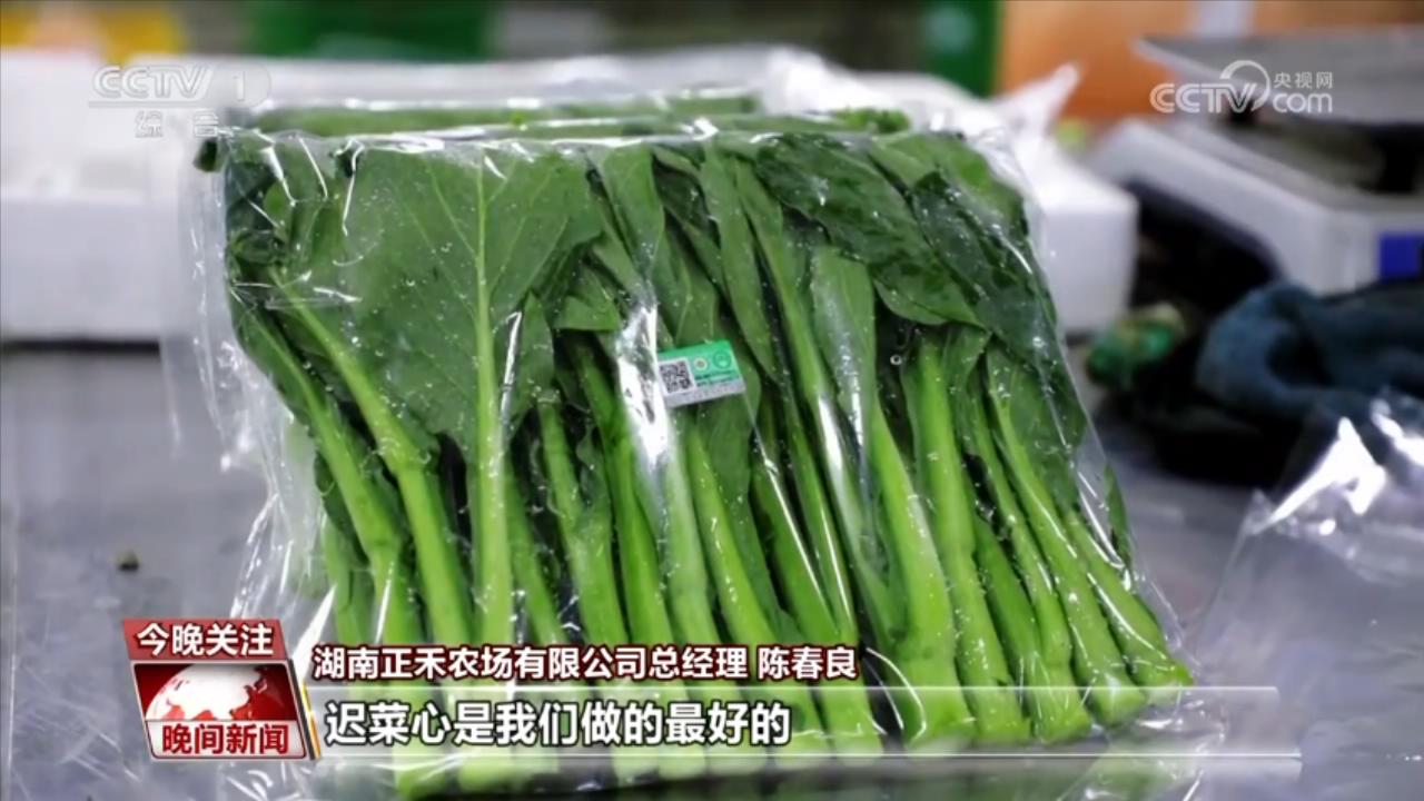 万象“耕”新进行时 蔬菜抢“鲜”7小时从湖南直达香港(图3)