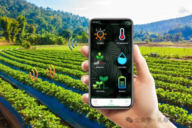 农村的荒山种植什么赚钱？deepseek分享了4个效益好的种植项目(图2)