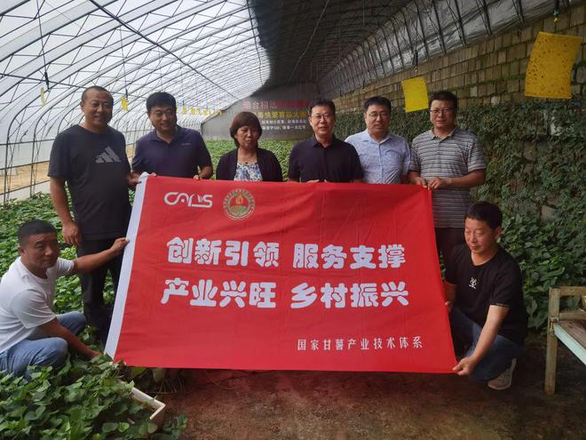 招远这个乡镇发展特色种植厉害了新培育1300亩种植基地(图4)