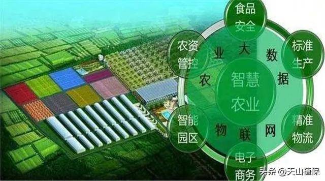 农业种植结构如何优化调整(图2)