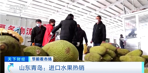进口水果成“抢手货”青岛市场车厘子火龙果热销大众网(图2)