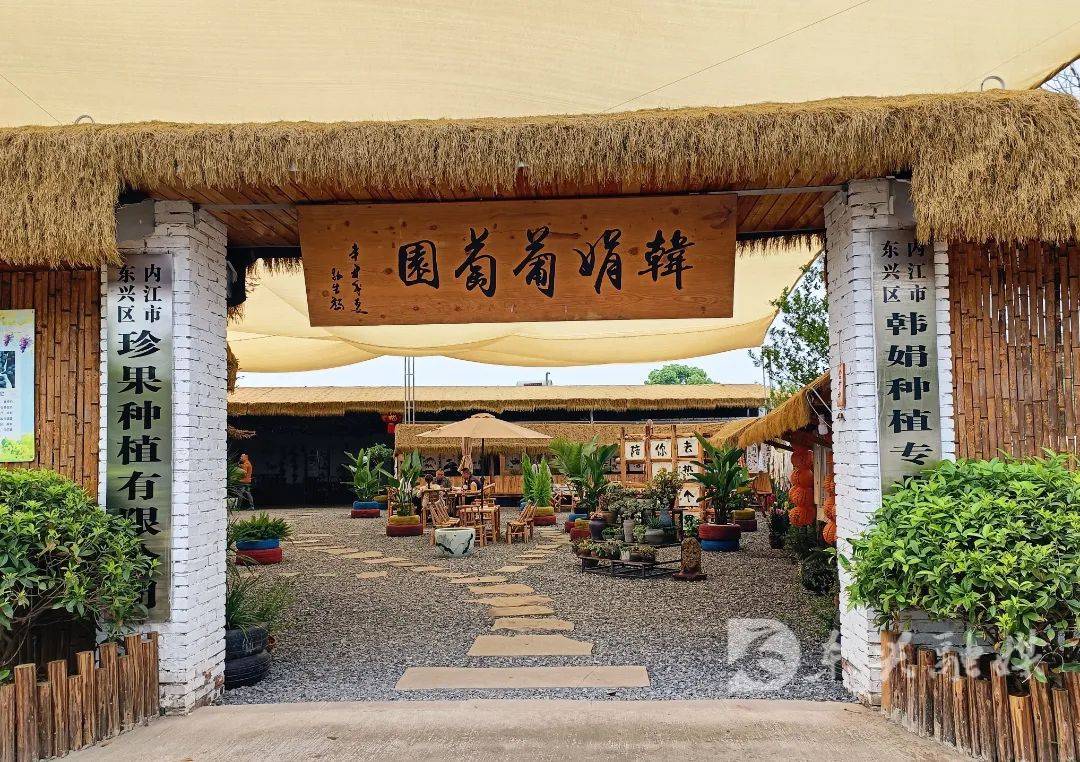 ope体育入口韩娟与她的世外萄园(图5)