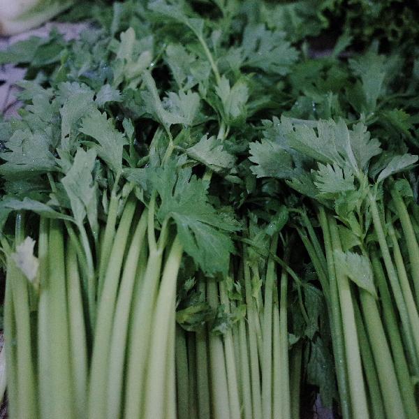 常见的蔬菜有哪些ope体育入口它的营养价值(图3)
