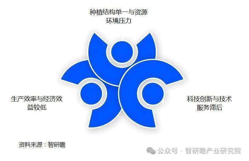 中国谷物种植行业市场前瞻与投资战略规划分析报告(图3)