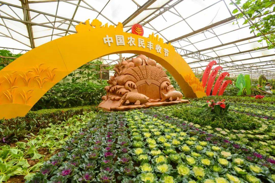 ope体育平台高考地理中的寿光蔬菜(图3)