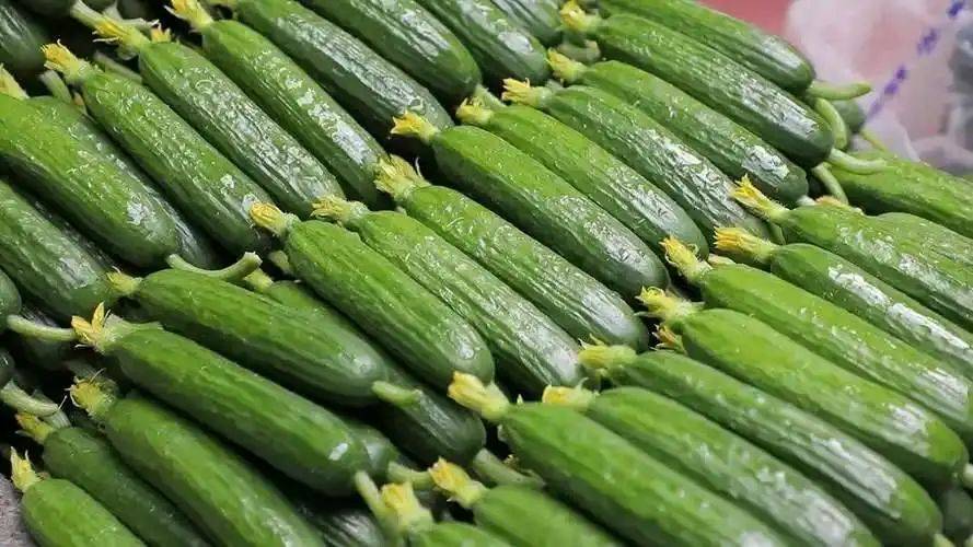 ope体育平台高考地理中的寿光蔬菜(图9)