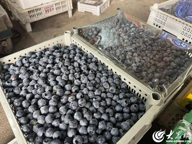 众点关注 “水果皇后”蓝莓一改“高冷姿态” 价格越来越亲民(图2)