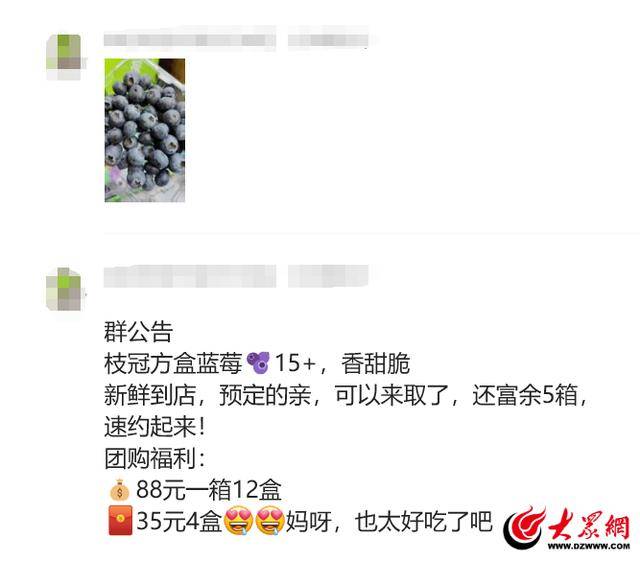 众点关注 “水果皇后”蓝莓一改“高冷姿态” 价格越来越亲民(图4)
