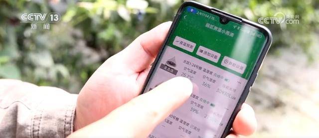 ope体育APP水果刺客 亲民爆款 科技为百姓“果盘子”注入“鲜”力量(图7)