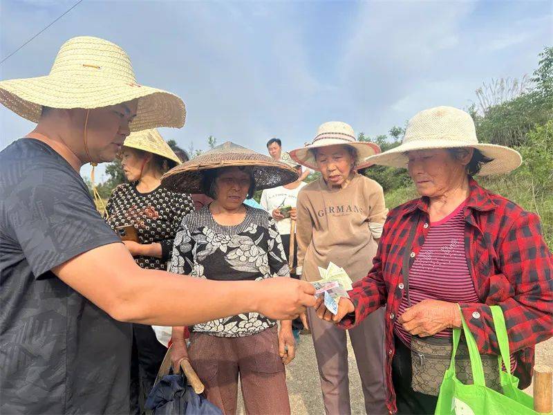 【抓产业 抓项目 抓招商】玉屏塘合白芨种植忙(图5)