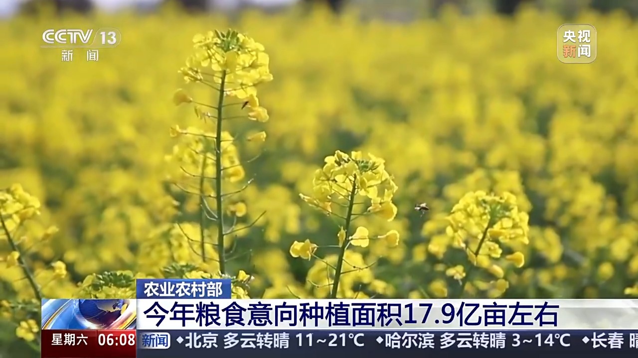 ope体育平台粮食意向种植面积约179亿亩 全国春播进度条更新→(图2)