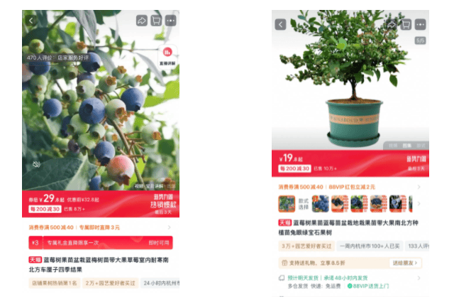 蔬菜盆栽成“春季爆品”月卖60000盒(图4)