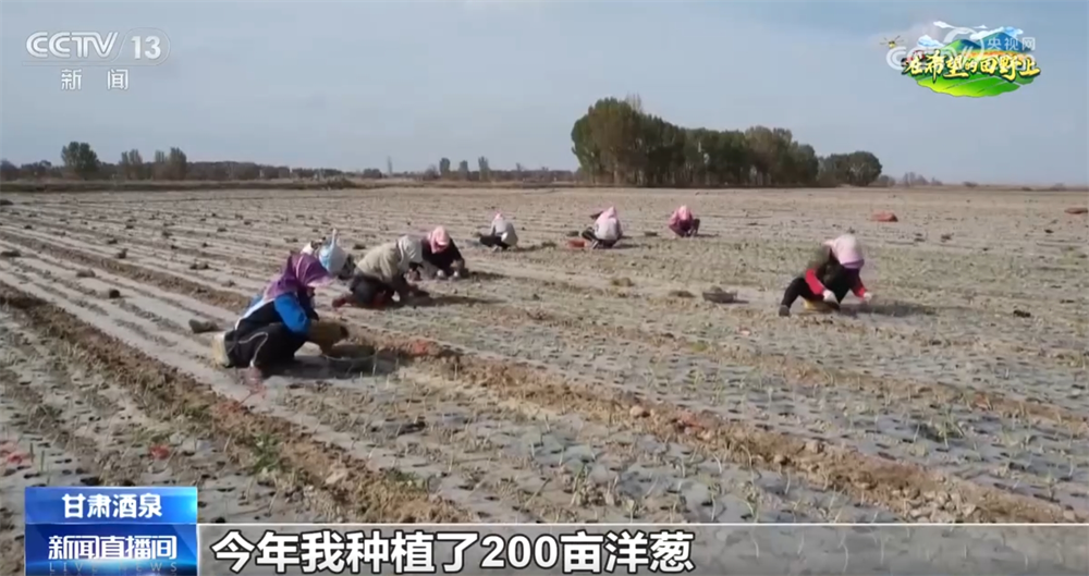 不误农时不负春奏响春耕“奋进曲” 一幅幅“科技春耕图”徐徐铺展ope体育平台(图3)