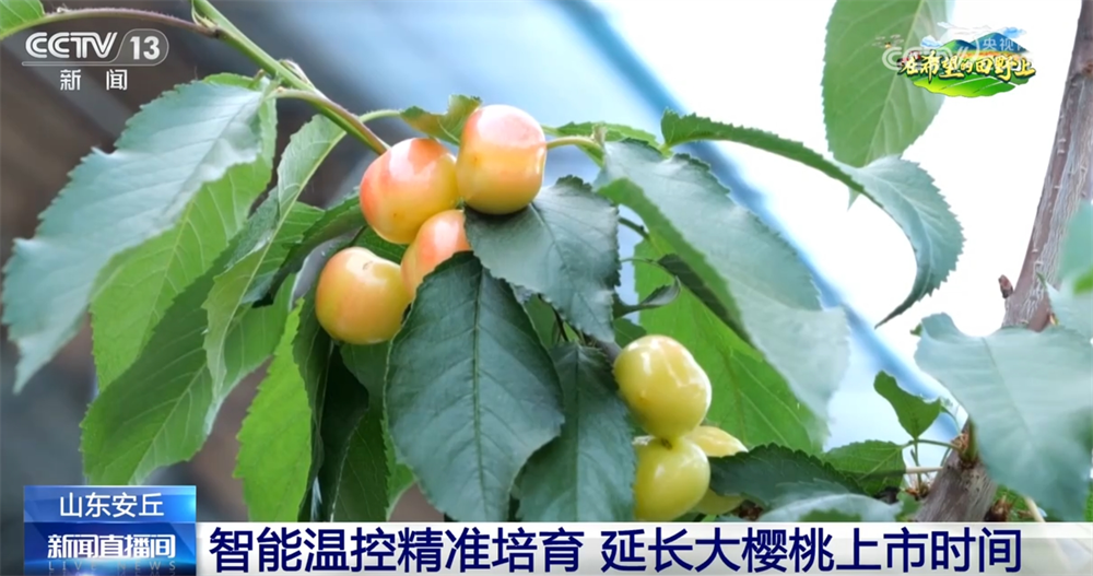 不误农时不负春奏响春耕“奋进曲” 一幅幅“科技春耕图”徐徐铺展ope体育平台(图5)