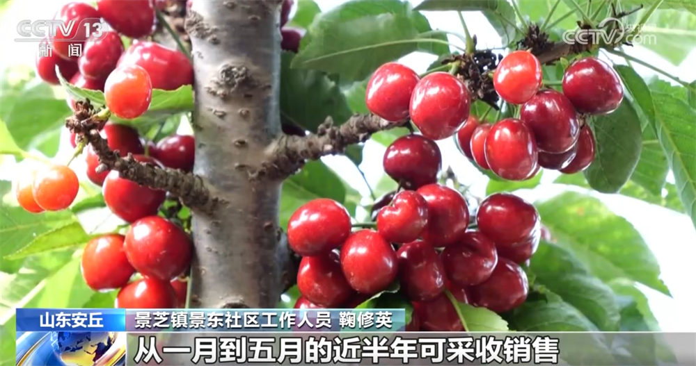 不误农时不负春奏响春耕“奋进曲” 一幅幅“科技春耕图”徐徐铺展ope体育平台(图7)