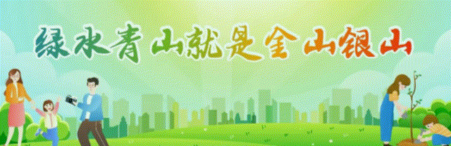 玉米种植技术培训开启增收新篇(图3)