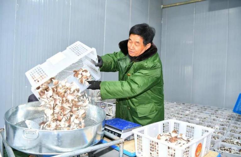 合肥市蜀山区：小菌菇 大智慧(图4)