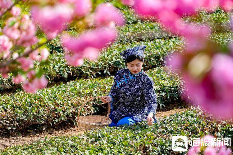 视觉山东一周图选（2025年第16期）(图4)