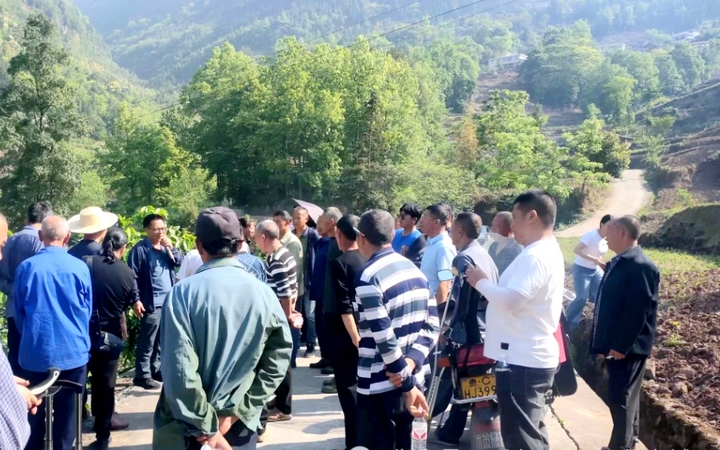 贵州省农科院专家为土城柚子种植支招(图2)