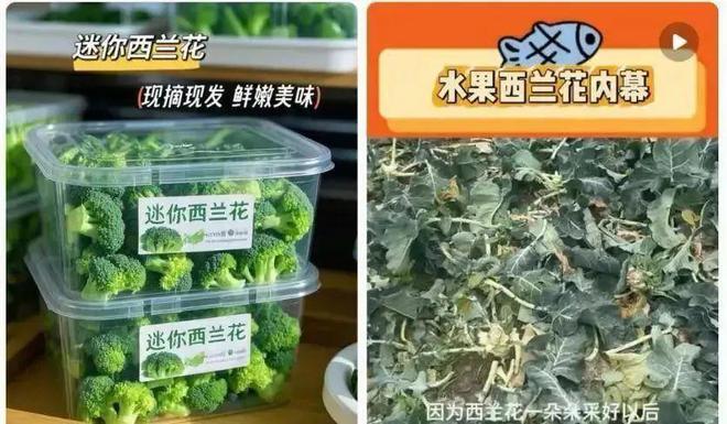 水果也塌了央视曝光7大“水果骗局”越看越害怕别再踩坑了ope体育平台(图3)