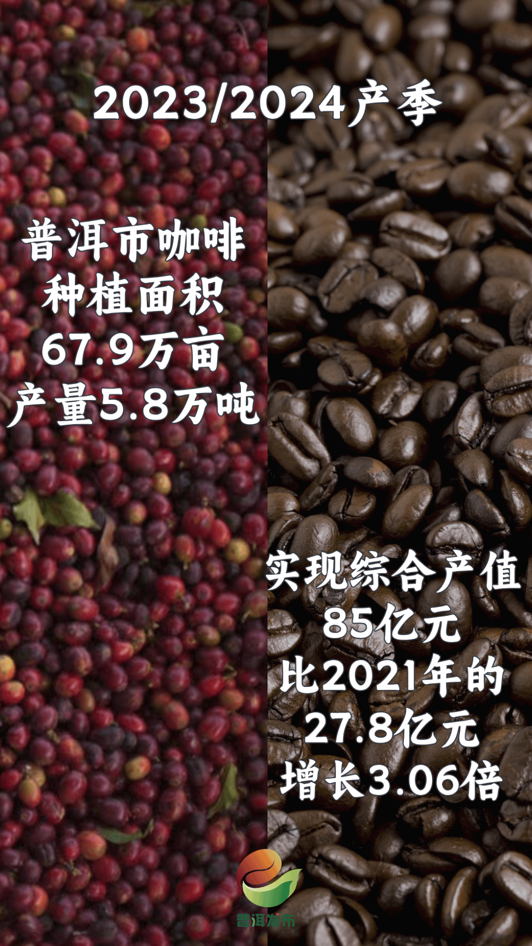 “中国咖啡之都”何以名落普洱？(图4)