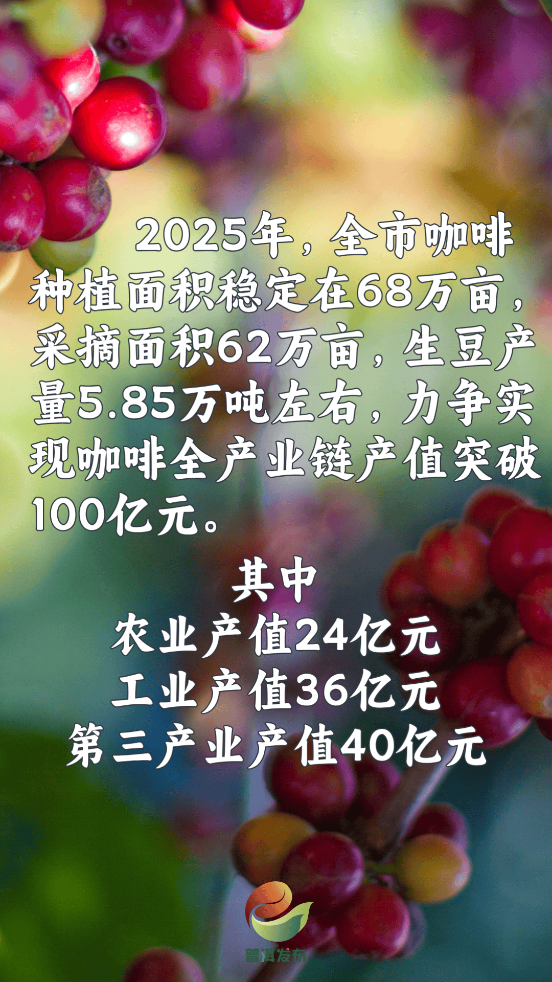 “中国咖啡之都”何以名落普洱？(图5)