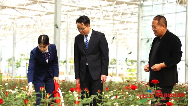 睢县农信社：金融“活水”浇灌特色种植 赋能乡村振兴新图景(图2)