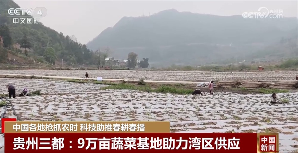 各地“新”ope体育APP潮澎湃勾勒绚丽“科技春耕图” 为丰产增收开好局起好步(图6)