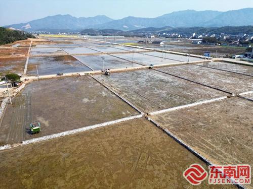 有机种植ope体育入口春耕忙 浦城绘就新“丰”景(图1)