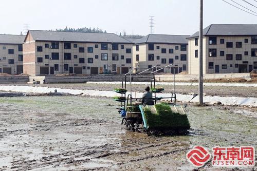 有机种植ope体育入口春耕忙 浦城绘就新“丰”景(图2)